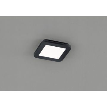 Trio CAMILLUS R62931032 Stropná lampa 1x10w/led 3000k 850lm ip44