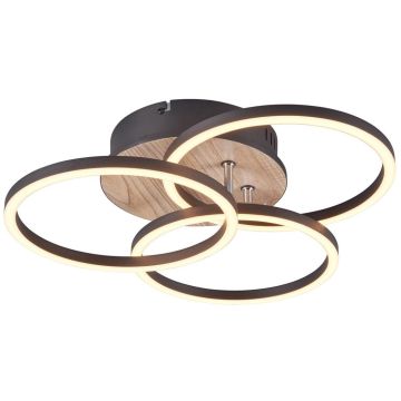 Trio CIRCLE R62823135 Stropná lampa 1x27w/led 2700-6000K 3200lm ip20