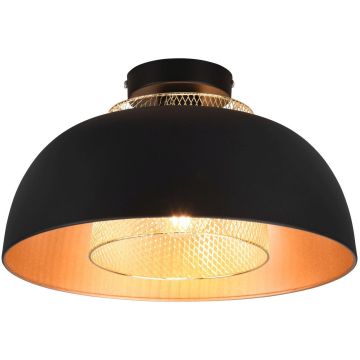 Trio PUNCH R60811032 Stropná lampa 1x40w/e27 ip20