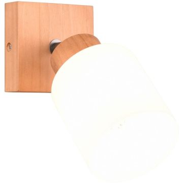 Trio ASSAM R81111030 Stena svietidlo 1x25w/e14 ip20