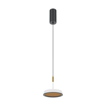 Maytoni El MOD041PL-L15WG3K Závesná lampa 1x12W/LED 3000K 800lm IP20