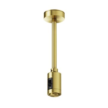 Maytoni Flarity TRA156C-SL1-BS Záves