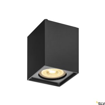 SLV ALTRA DICE 1002216 Natáčané downlight svetlo 1x35W/GU10 IP20