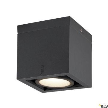 SLV ESKINA 1006316 Natáčané downlight svetlo 1x15W/LED 3000K|4000K 1100LM|1200LM IP65