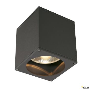 SLV THEO 229555 Stropné svietidlo 1x75W/GU10/ES111 IP44
