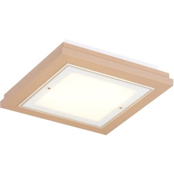 Argon TABOR 1866 Stropná lampa 4x15W/E27 ip20
