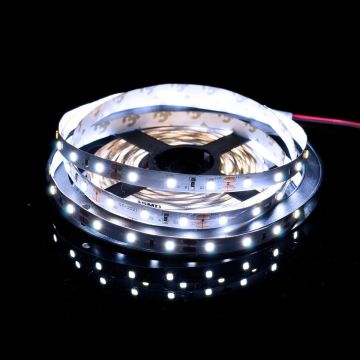SMD LED PROline TAS4205SLL LED pásik 60x6W/m/LED 6000K 620 lm/m IP20