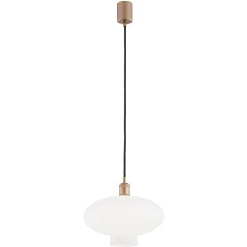 Argon TRESCO 8980 Závesná lampa 1x15W/E27 ip20