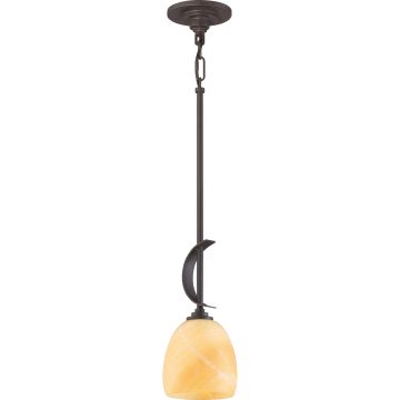 Quoizel SALZBURG QZS-TST2520C Závesná lampa 1x60W/E27