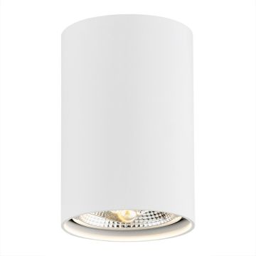 Argon TUBO 4910 BZ Stropné svetidlo 1x15W/GU10/ES111 3000K IP20