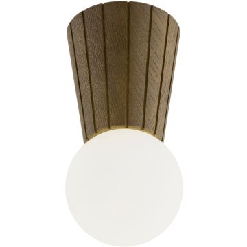 Argon VOLANTE 8974 Stropná lampa 1x6W/G9 ip44