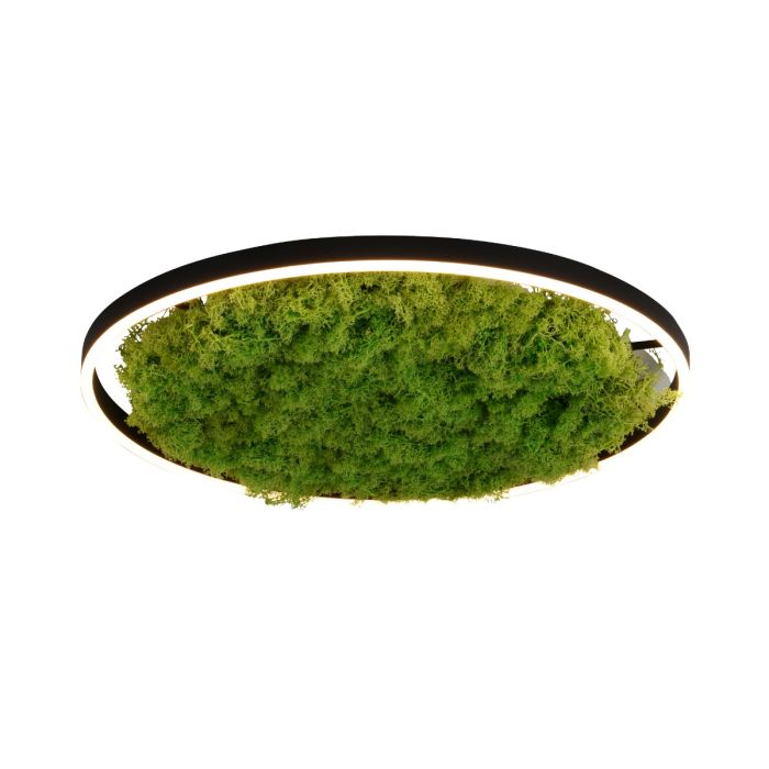 Paul Neuhaus-GREEN RITUS-15392-66-PLN15392-66