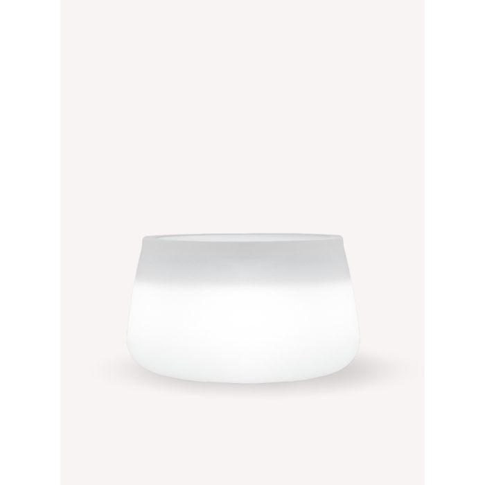 New Garden-CAMELIA-3308-NGR3308