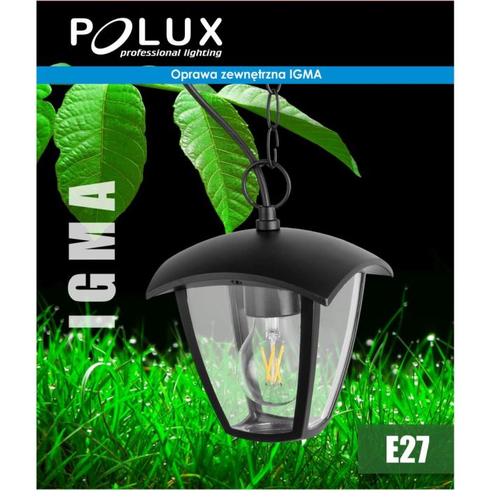 Polux-IGMA-311887-POL311887
