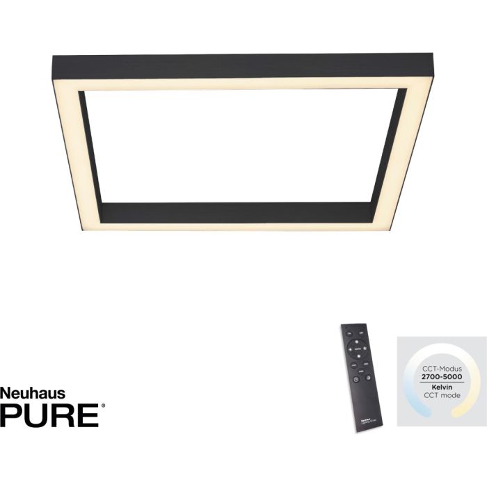Paul Neuhaus-PURE-LINES-6022-13-PLN6022-13