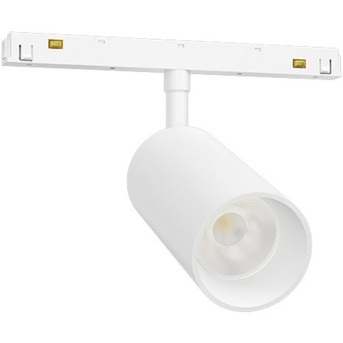 Zambelis-MAGNETIC SPOT-20414-ZAM20414